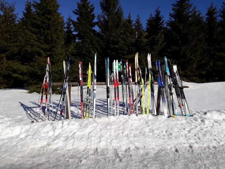 Ski Langlauf Lehrgang_8