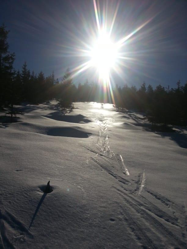 Ski Langlauf Lehrgang_5