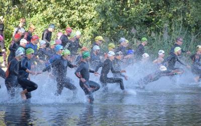 Finale Buchholz 